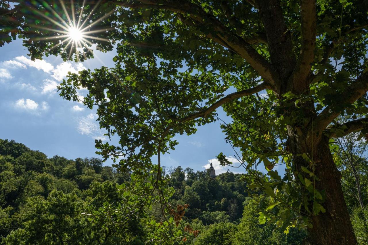 Aparthotel Thalmuehle Meisdorf Exteriér fotografie